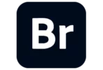 Adobe Bridge 2025