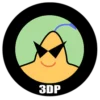 DP Chip