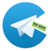 Gram telegram