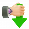 Internet Download Accelerator Pro