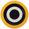 InvokeAI