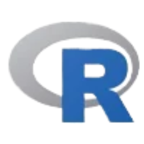 R-Studio Build