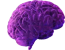 View Your Mind