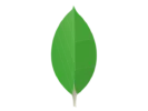 MongoDB Compass